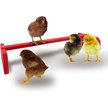 Show in main carousel: Backyard Barnyard Chicken Perch, Red slide 4 of 9