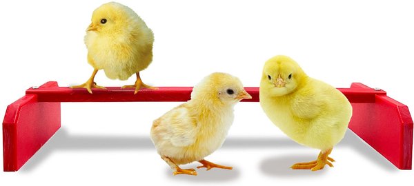 Show full view: Backyard Barnyard Chicken Perch, Red slide 1 of 9