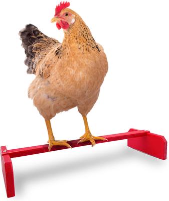 Show full view: Backyard Barnyard Chicken Perch, Red slide 2 of 9