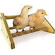 Show in main carousel: Backyard Barnyard Chick Bird Perch Mini, 1 count slide 3 of 9