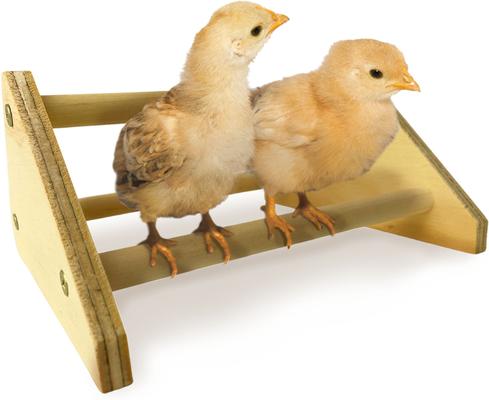 Show full view: Backyard Barnyard Chick Bird Perch Mini, 1 count slide 3 of 9