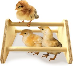 Backyard Barnyard Chick Bird Perch Mini, 1 count