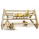 Backyard Barnyard Chick Bird Perch
