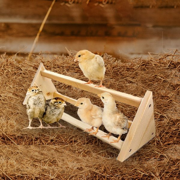 Show full view: Backyard Barnyard Chicken 3 Bar Bird Perch slide 5 of 8