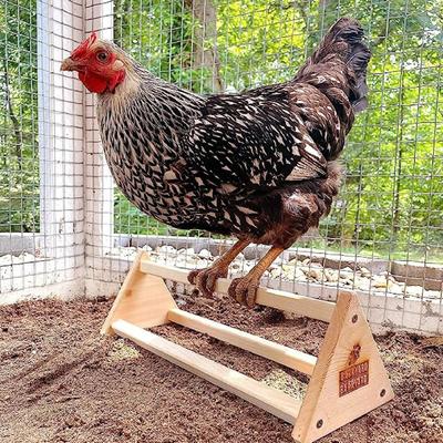 Show full view: Backyard Barnyard Chicken 3 Bar Bird Perch slide 4 of 8