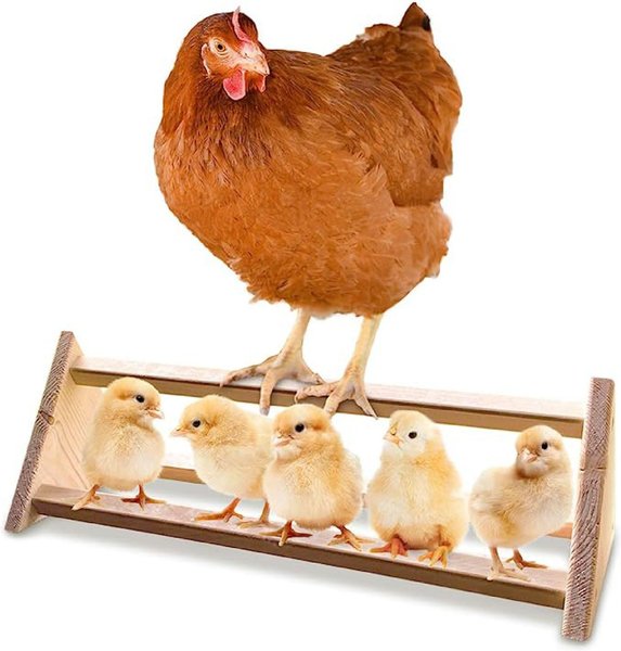 Show full view: Backyard Barnyard Chicken 3 Bar Bird Perch slide 1 of 8