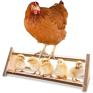 Backyard Barnyard Chicken 3 Bar Bird Perch