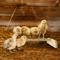 Show in main carousel: Backyard Barnyard Chicken Bird Perch, 1 count slide 5 of 8