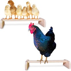Backyard Barnyard Chicken Bird Perch, 2 count