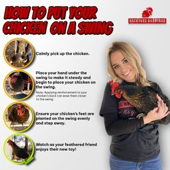 Backyard Barnyard Chicken Round Bar Bird Swing slide 2 of 9