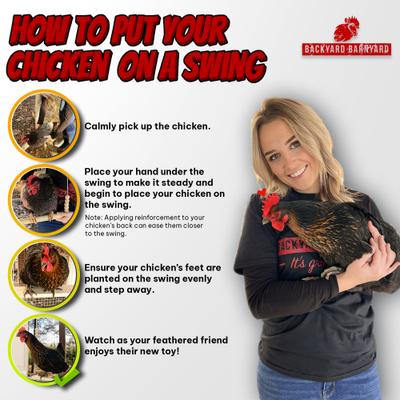 Show full view: Backyard Barnyard Chicken Flat Bar Bird Swing slide 8 of 9