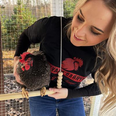 Show full view: Backyard Barnyard Chicken Round Bar Bird Swing slide 7 of 9