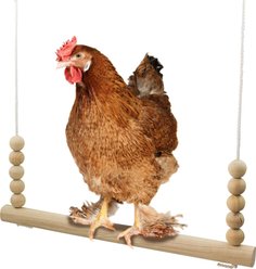 Backyard Barnyard Chicken Round Bar Bird Swing