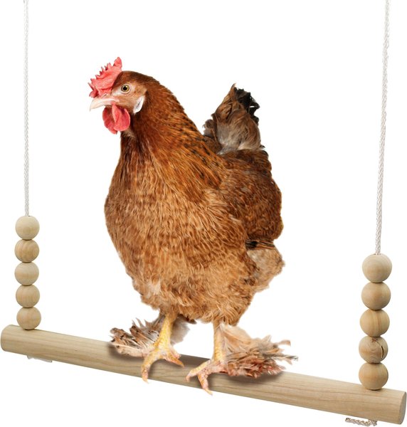 Show full view: Backyard Barnyard Chicken Round Bar Bird Swing slide 1 of 9