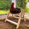 Show in main carousel: Backyard Barnyard Large Chicken Bird Perch slide 4 of 7