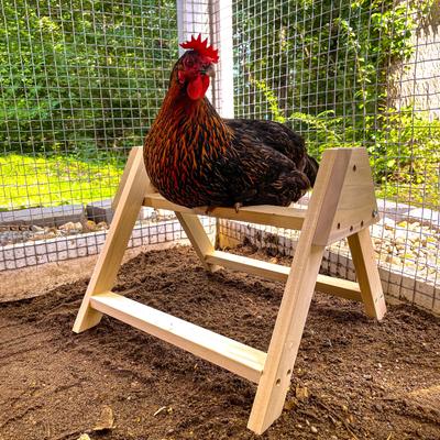 Show full view: Backyard Barnyard Large Chicken Bird Perch slide 4 of 7