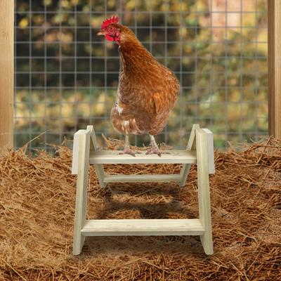 Show full view: Backyard Barnyard Large Chicken Bird Perch slide 5 of 7
