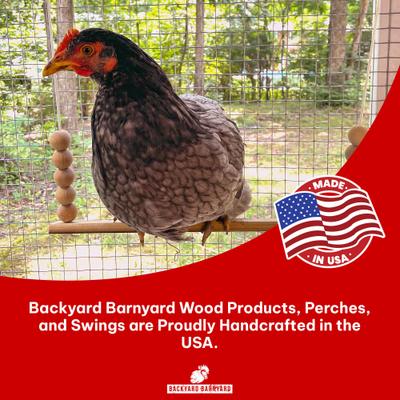 Show full view: Backyard Barnyard Chicken Flat Bar Bird Swing slide 9 of 9