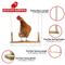 Show in main carousel: Backyard Barnyard Chicken Flat Bar Bird Swing slide 3 of 9