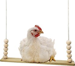 Backyard Barnyard Chicken Flat Bar Bird Swing