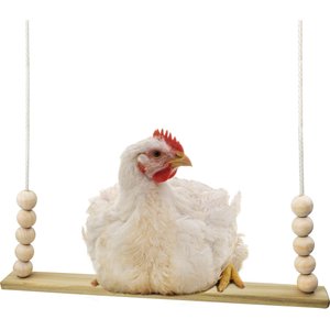 Backyard Barnyard Chicken Flat Bar Bird Swing