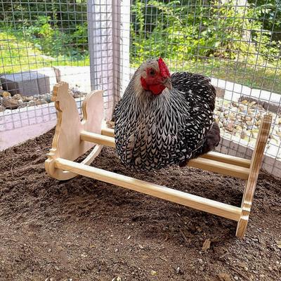Show full view: Backyard Barnyard Chicken Bird Perch Rocker slide 5 of 9