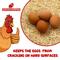 Show in main carousel: Backyard Barnyard Chicken Poultry Nesting Pad, 12 count slide 4 of 9