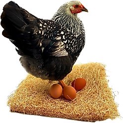 Backyard Barnyard Chicken Poultry Nesting Pad, 12 count