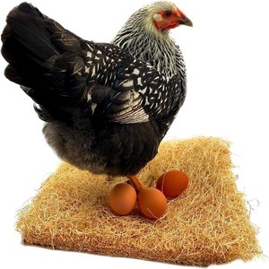 Backyard Barnyard Chicken Poultry Nesting Pad, 12 count