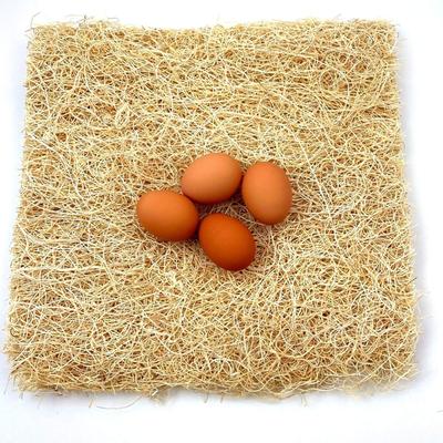 Show full view: Backyard Barnyard Chicken Poultry Nesting Pad, 12 count slide 2 of 9