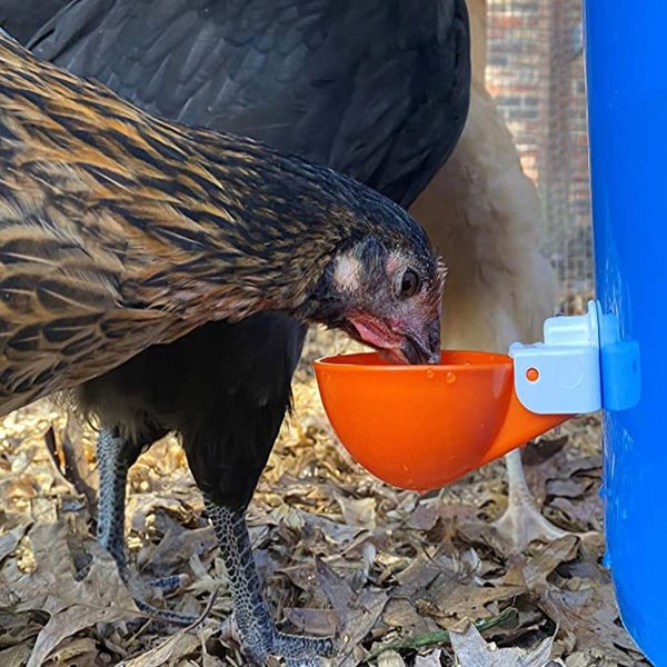 Backyard Barnyard Jumbo Automatic Poultry Cup Drinker