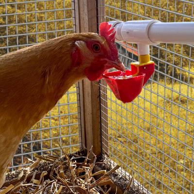 Show full view: Backyard Barnyard No Peck Vertical Poultry Cup Drinker, 4 count slide 6 of 6