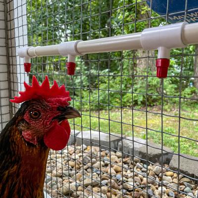 Show full view: Backyard Barnyard PVC Poultry Nipple Kit, 6 count slide 8 of 8