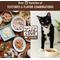 Show in main carousel: Wellness CORE+ Indoor Grain-Free Chicken & Chicken Liver Pate Wet Cat Food, 5.5-oz, case of 24 slide 7 of 11