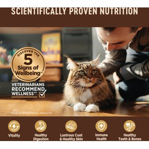 Wellness CORE Tiny Tasters Chicken, Chicken & Turkey Pate Land Variety Pack Grain-Free Cat Food Pouches, 1.75-oz, pack of 12