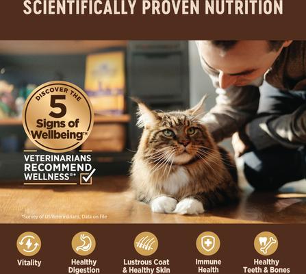 Show full view: Wellness CORE+ Indoor Grain-Free Chicken & Chicken Liver Pate Wet Cat Food, 5.5-oz, case of 24 slide 5 of 11