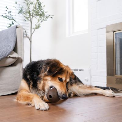 Show full view: Outward Hound Sport Ballz Football Treat-Dispensing Fetch Ball Dog Toy slide 6 of 11