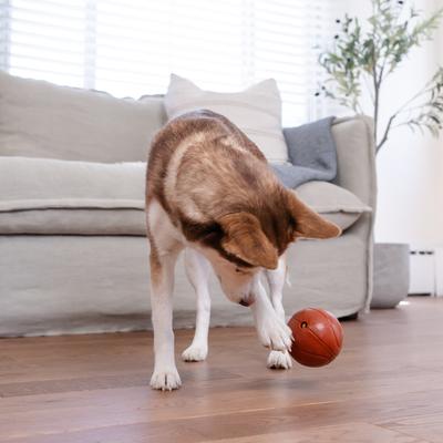 Show full view: Outward Hound Sport Ballz Basketball Durable Treat-Dispensing Fetch Ball Dog Toy slide 6 of 11