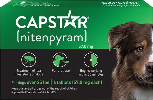 Show full view: Capstar Flea Oral Treatment for Dogs, over 25-lbs, 6 Tablets + PetArmor Home Yard & Premise Flea & Tick Spray Treatment, 32-oz bottle slide 2 of 9