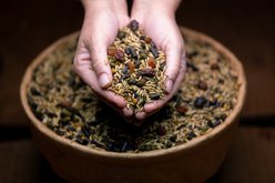 Crypto Aero Wholefood Gluten Free, Non-GMO Horse Feed, 40-lb bag slide 2 of 5