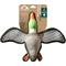 Show in main carousel: Hound2O Ballistic Duck Plush Dog Toy slide 1 of 6