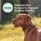 Show in main carousel: Nutro Grain-Free Roasted Turkey, Potato & Pea Stew Cuts in Gravy Adult Wet Dog Food, 3.5-oz, case of 24 slide 6 of 11