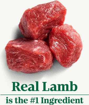 Show full view: Nutro Hearty Stew Meaty Lamb, Green Bean & Carrot Cuts in Gravy Grain-Free Adult Canned Wet Dog Food, 12.5-oz, case of 12 slide 4 of 11