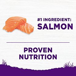 Wellness Complete Health Sensitive Skin & Stomach Natural Adult Salmon & Rice Recipe Dry Dog Food, 24-lb bag slide 2 of 9