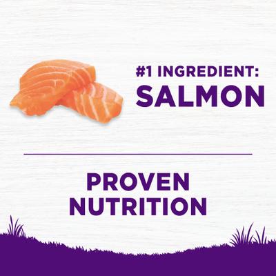 Show full view: Wellness Complete Health Sensitive Skin & Stomach Natural Adult Salmon & Rice Recipe Dry Dog Food, 24-lb bag slide 6 of 12