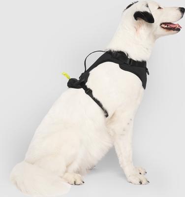 Show full view: Canada Pooch Everything No Pull Dog Harness with Poop Bag Dispenser, Black, Medium slide 3 of 6