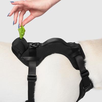 Show full view: Canada Pooch Everything No Pull Dog Harness with Poop Bag Dispenser, Black, Medium slide 4 of 6