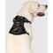 Show in main carousel: Canada Pooch Everything No Pull Dog Harness with Poop Bag Dispenser, Black, Medium slide 2 of 6