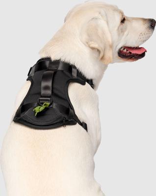 Show full view: Canada Pooch Everything No Pull Dog Harness with Poop Bag Dispenser, Black, Medium slide 2 of 6