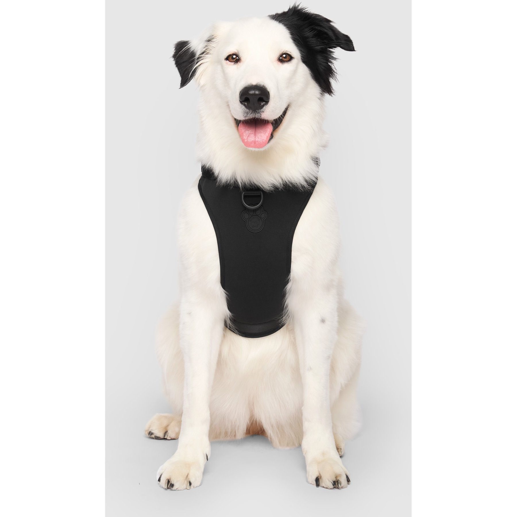 Canada Pooch Everything No Pull Dog Harness with Poop Bag Dispenser, Black, Large